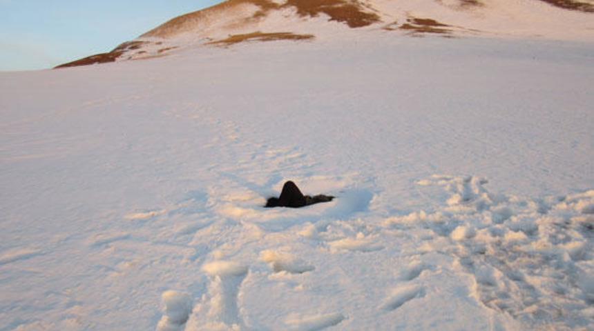 İran sınırında feci görüntü! Donmuş halde bulundular!