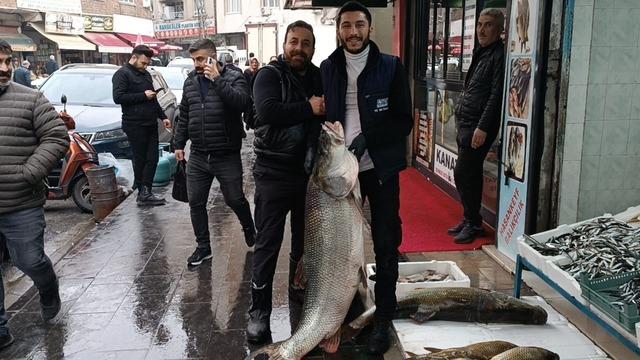 Batman&rsquo;da dev turna balığı ilgi odağı oldu 1