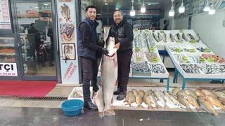 Batman’da dev turna balığı ilgi odağı oldu