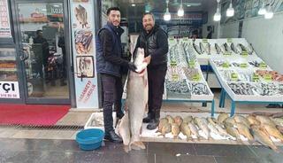 Batman&rsquo;da dev turna balığı ilgi odağı oldu