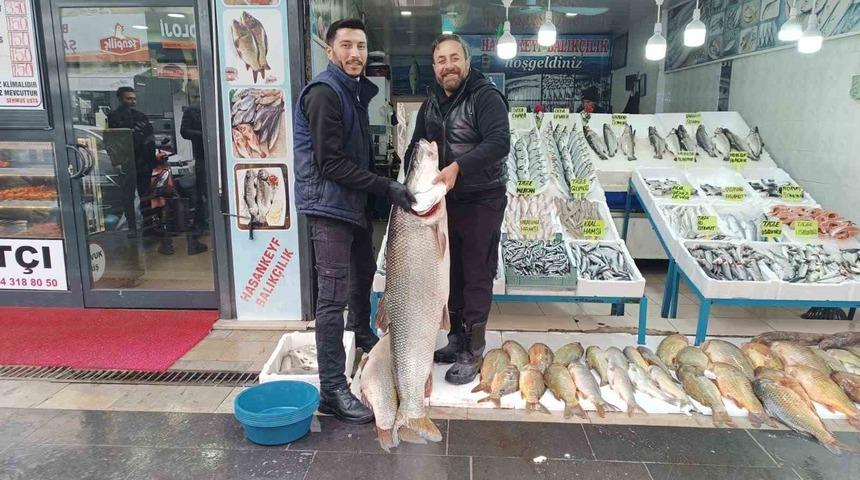 Batman&rsquo;da dev turna balığı ilgi odağı oldu