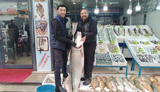 Batman&rsquo;da 2 metre 10 santimlik dev turna balığı ilgi odağı oldu