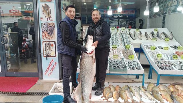 Batman’da 2 metre 10 santimlik dev turna balığı ilgi odağı oldu