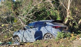 Sinop'ta kontrolden &ccedil;ıkan otomobil ağa&ccedil;lık alana devrildi