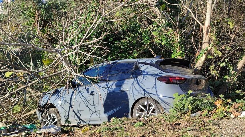 Sinop'ta kontrolden &ccedil;ıkan otomobil ağa&ccedil;lık alana devrildi