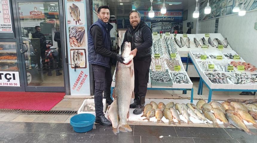 Batman&rsquo;da dev turna balığı ilgi odağı oldu