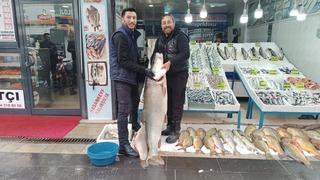 Batman’da dev turna balığı ilgi odağı oldu