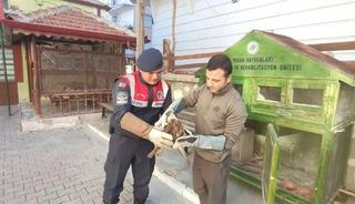 Karaman'da yaralı bulunan kızıl şahin koruma altına alındı