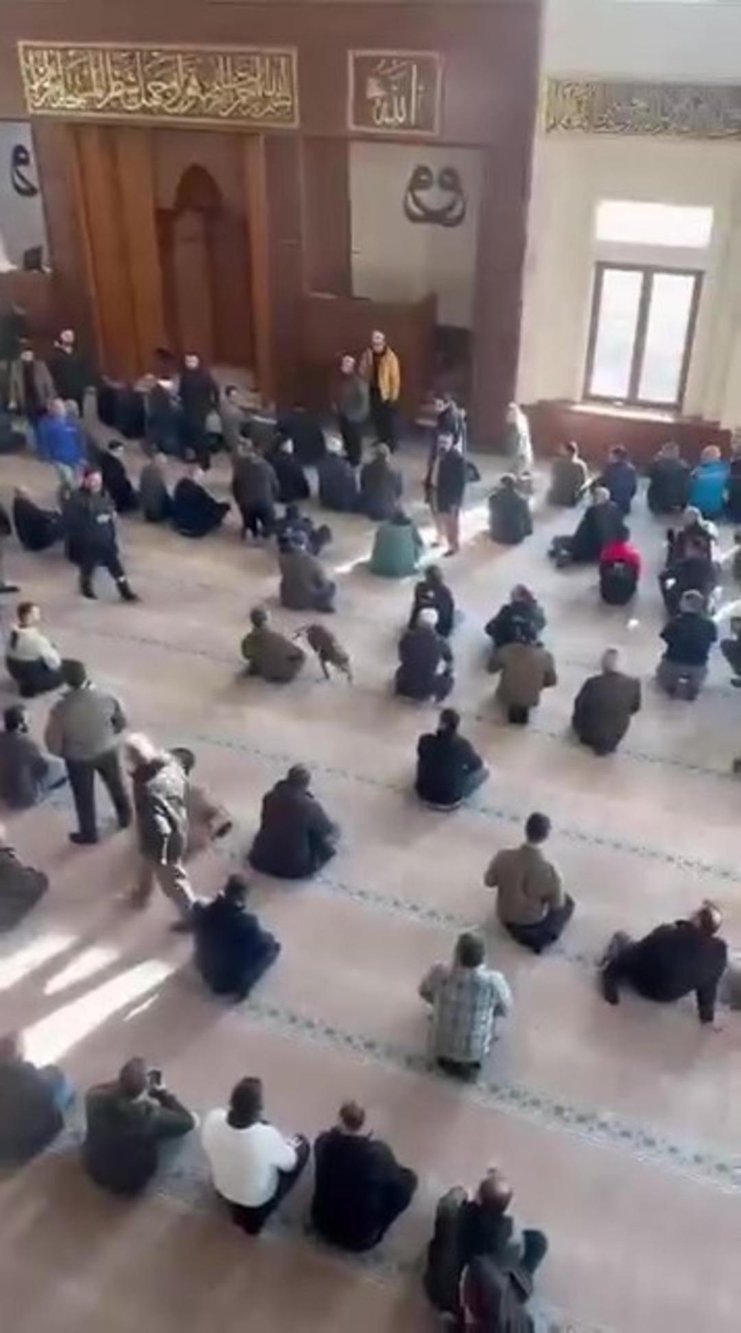 Camiye giren pitbull yakalandı, sahibine işlem yapıldı 4