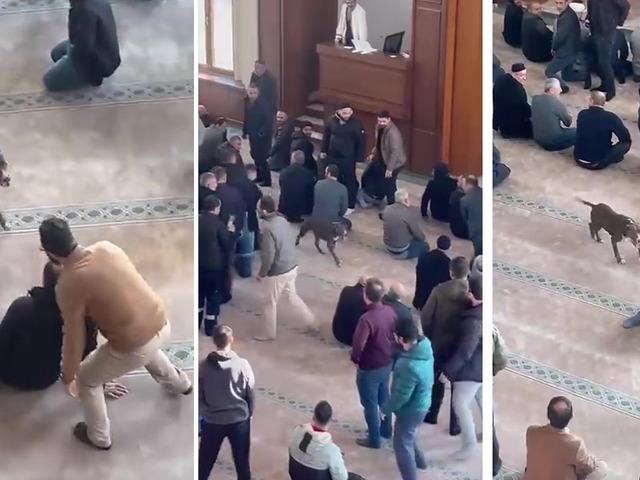 Camiye giren pitbull yakalandı, sahibine işlem yapıldı