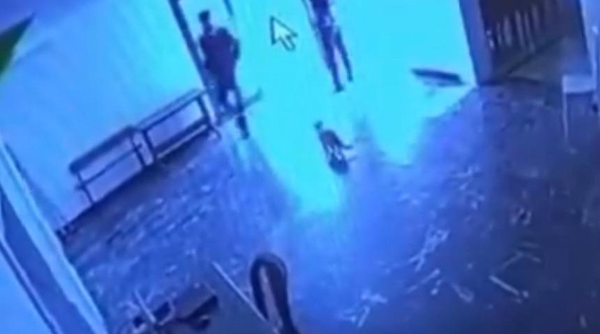 Yer: Elazığ! Kediye tekme attı, g&ouml;r&uuml;nt&uuml;ler infial yarattı