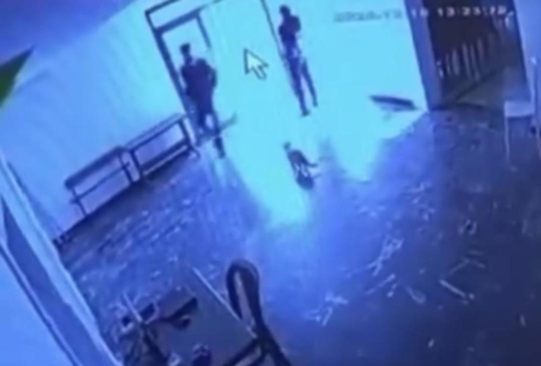 Görevli kişi kediye tekme attı, o anlar kameraya yansıdı 1