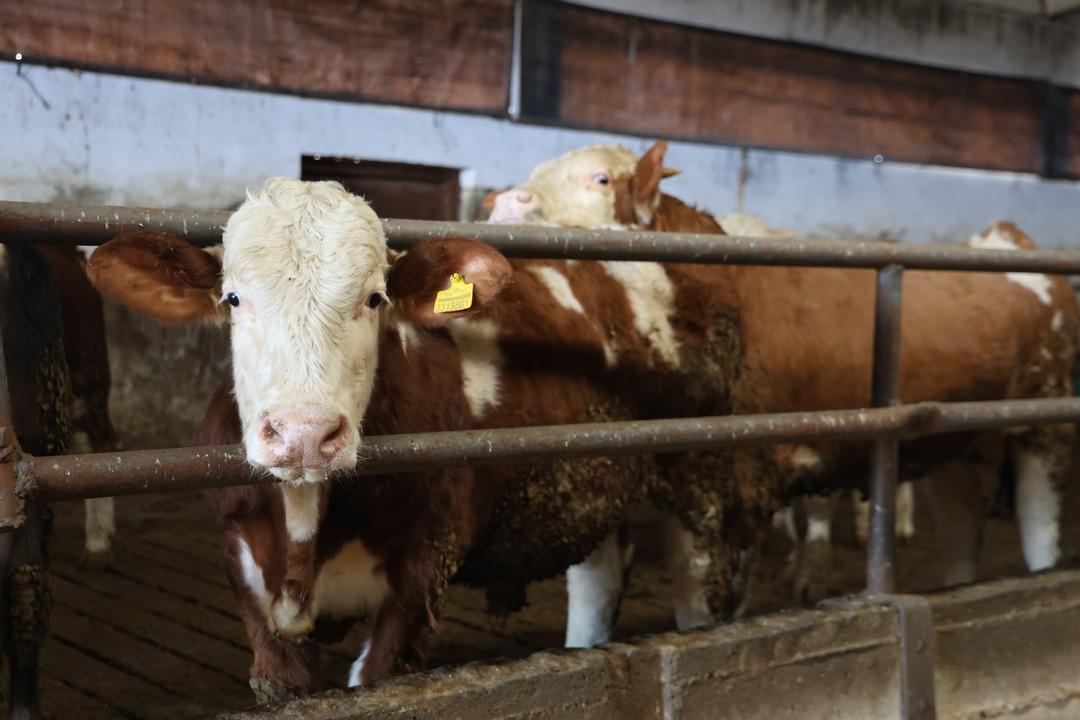  B&ouml;yle bir yeri hayal bile edemezdik  4500 m2 lik alanda kurdu 1