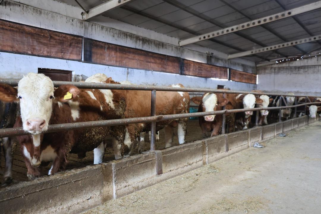  B&ouml;yle bir yeri hayal bile edemezdik  4500 m2 lik alanda kurdu 4