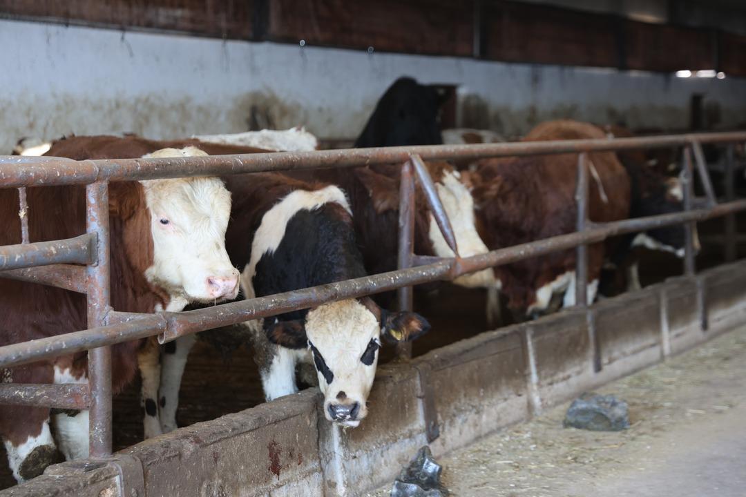  B&ouml;yle bir yeri hayal bile edemezdik  4500 m2 lik alanda kurdu 5