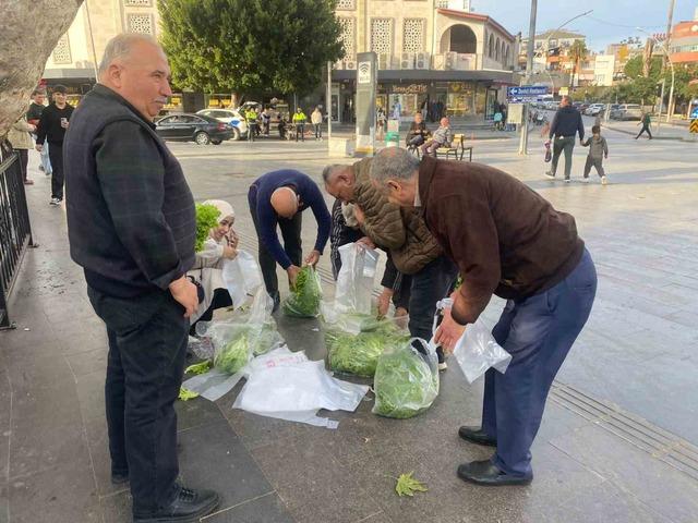 Antalya da &ccedil;ift&ccedil;iden &uuml;cretsiz marul dağıtımı 2