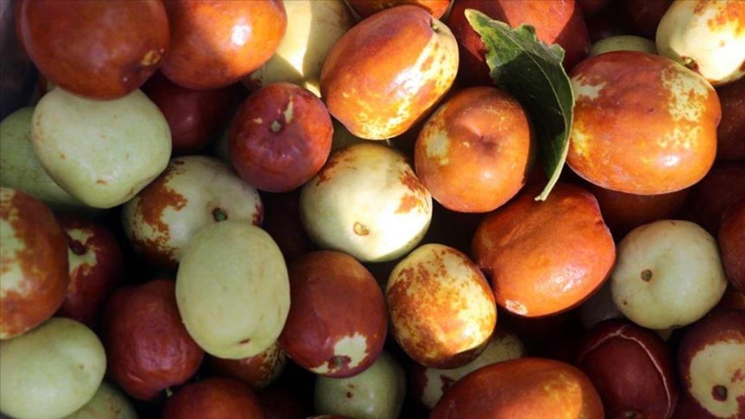 Bu k&uuml;&ccedil;&uuml;k meyveyi yiyenin stresi azalıyor!  3