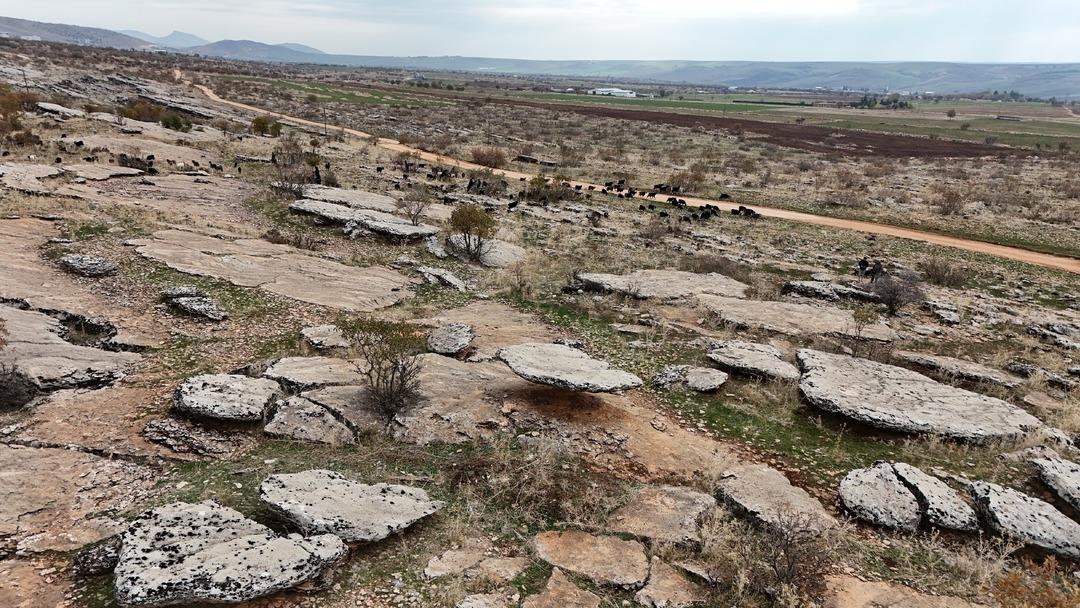 Diyarbakır da buzul &ccedil;ağ kalıntısı: Tam 6 milyon yıl &ouml;nceye ait 4