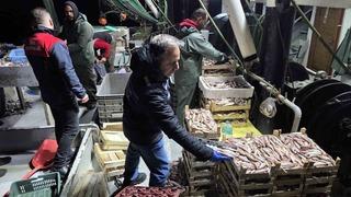 İğneada Balıkçı Barınağı’nda su ürünleri denetimi