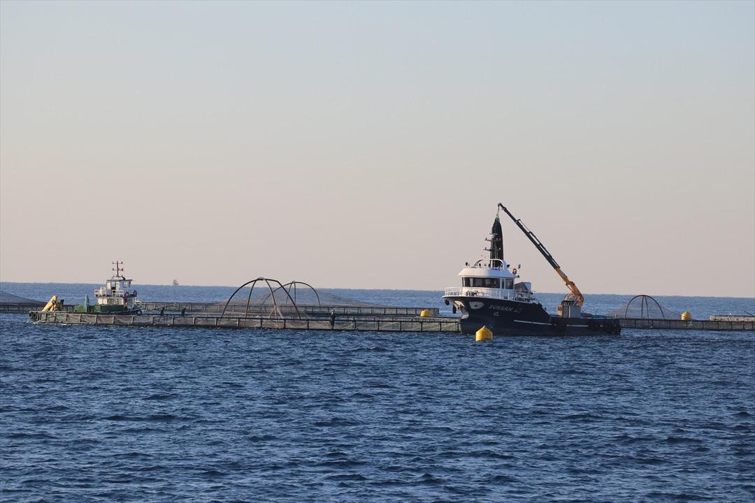 Bu yıl başında ilk kez yapılmaya başlandı! Yurt dışına g&ouml;nderilecek 1