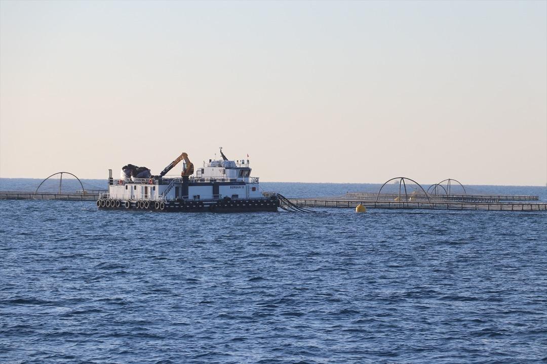 Bu yıl başında ilk kez yapılmaya başlandı! Yurt dışına g&ouml;nderilecek 2
