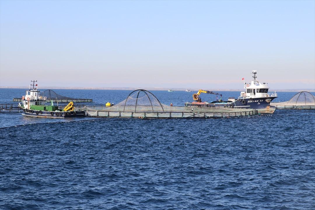 Bu yıl başında ilk kez yapılmaya başlandı! Yurt dışına g&ouml;nderilecek 9
