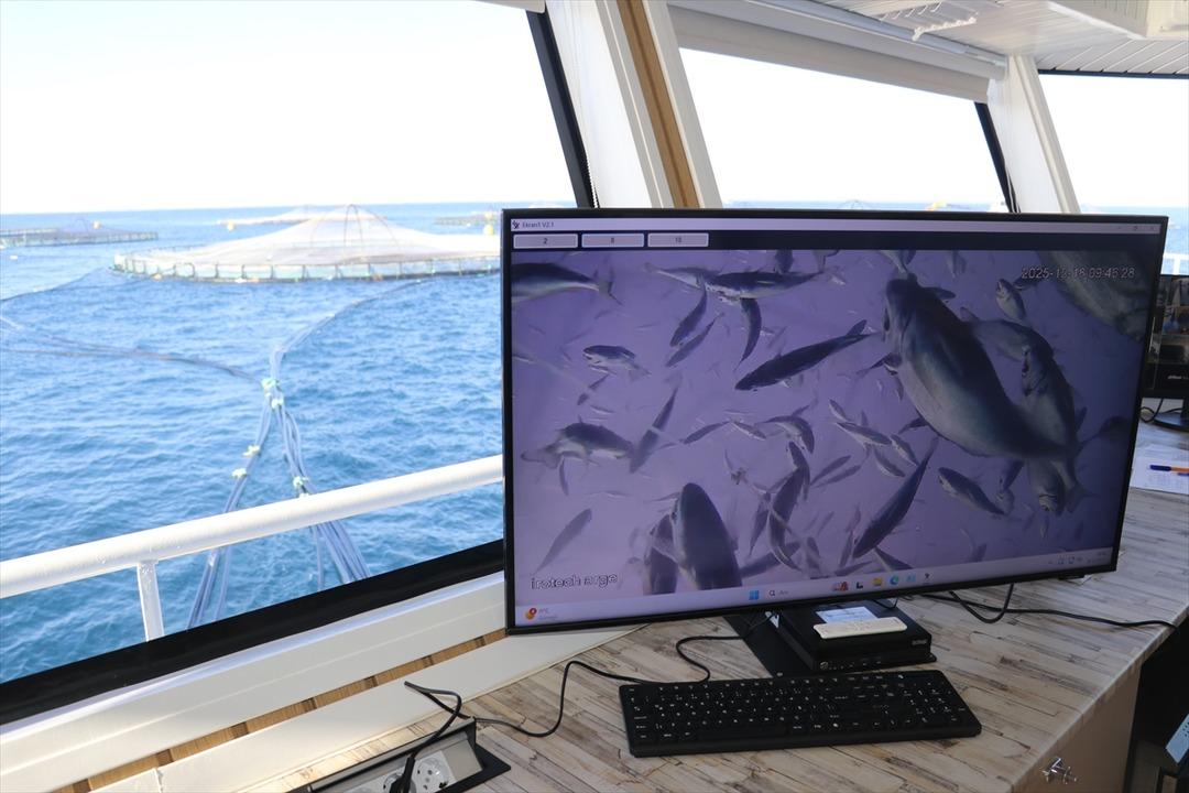 Bu yıl başında ilk kez yapılmaya başlandı! Yurt dışına g&ouml;nderilecek 10