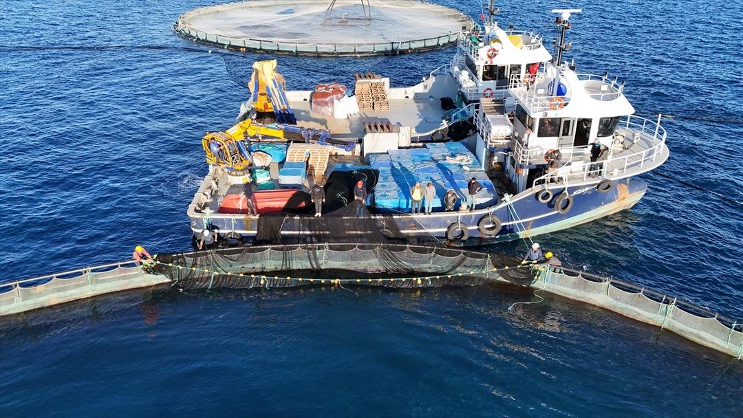 Bu yıl başında ilk kez yapılmaya başlandı! Yurt dışına g&ouml;nderilecek 11