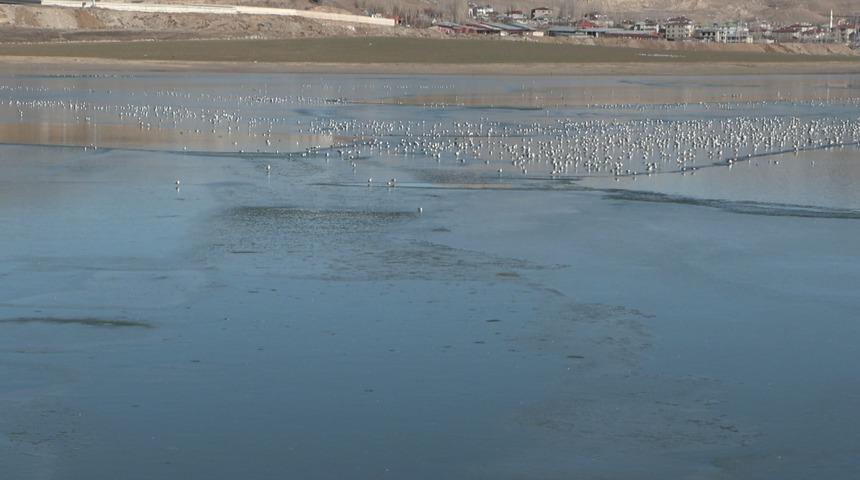 Van'daki Sıhke G&ouml;l&uuml;'n&uuml;n y&uuml;zeyi kısmen buzla kaplandı