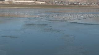 Van'daki Sıhke Gölü'nün yüzeyi kısmen buzla kaplandı