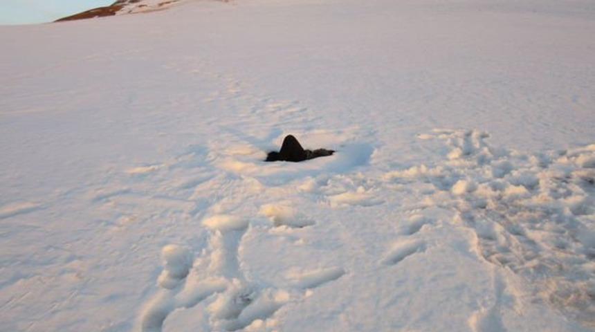 İran sınırında korkunç görüntü