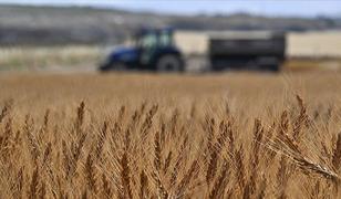 Tarımsal girdi fiyat endeksi ekimde yıllık y&uuml;zde 33,66, aylık y&uuml;zde 2,04 arttı