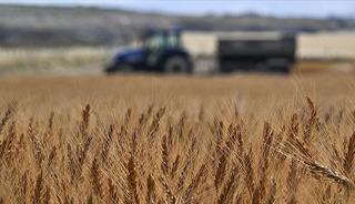 Tarımsal girdi fiyat endeksi ekimde yıllık y&uuml;zde 33,66, aylık y&uuml;zde 2,04 arttı