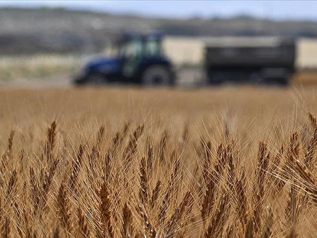 Tarımsal girdi fiyat endeksi ekimde yıllık y&uuml;zde 33,66, aylık y&uuml;zde 2,04 arttı