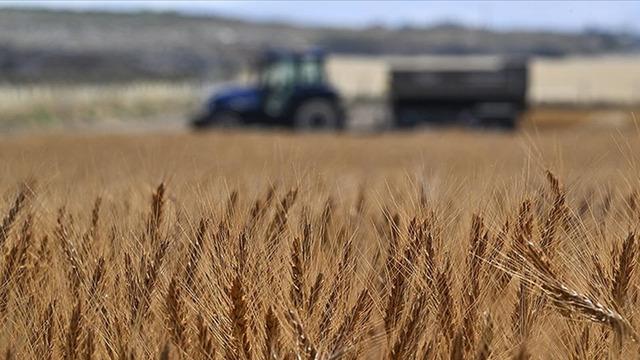 Tarımsal girdi fiyat endeksi ekimde yıllık yüzde 33,66, aylık yüzde 2,04 arttı