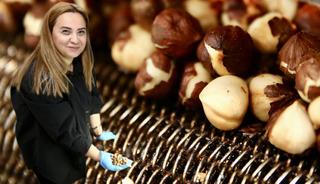 Yılda 100 bin tona kadar fındık işleyebiliyor! "Bu iş bana da s&uuml;rpriz oldu"