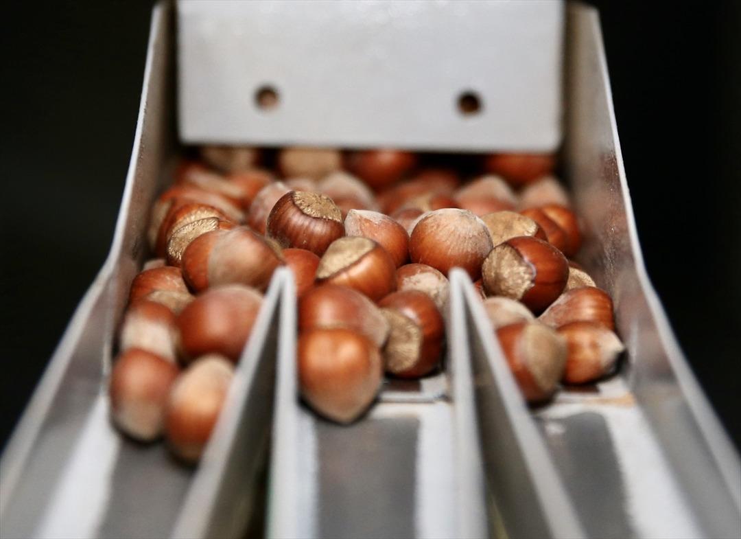 Yılda 100 bin tona kadar işleyebiliyor! "Bu iş bana da s&uuml;rpriz oldu" 5