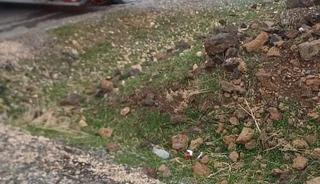 Diyarbakır&rsquo;da seyir halindeki tır alev aldı