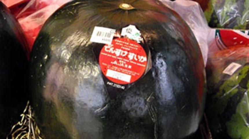 6 bin liralık karpuz