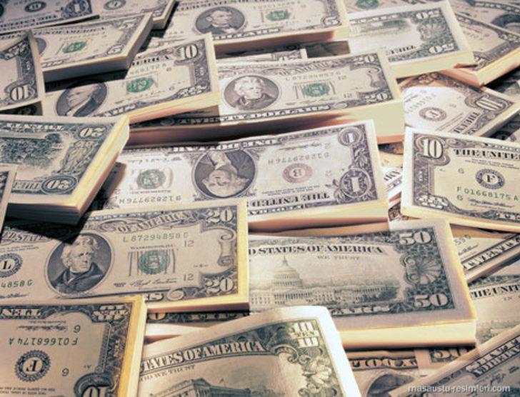 Doların 2 liraya giden yolculuğu!