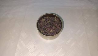 Artvin&rsquo;de endemik yayla &ccedil;ayı &ccedil;i&ccedil;eği ka&ccedil;ak&ccedil;ılığına Jandarma engeli