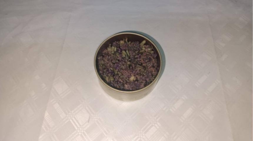 Artvin&rsquo;de endemik yayla &ccedil;ayı &ccedil;i&ccedil;eği ka&ccedil;ak&ccedil;ılığına Jandarma engeli