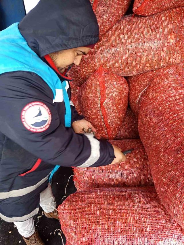 Karadeniz&rsquo;den &ccedil;ıkartılan beyaz kum midyesine sıkı denetim 3