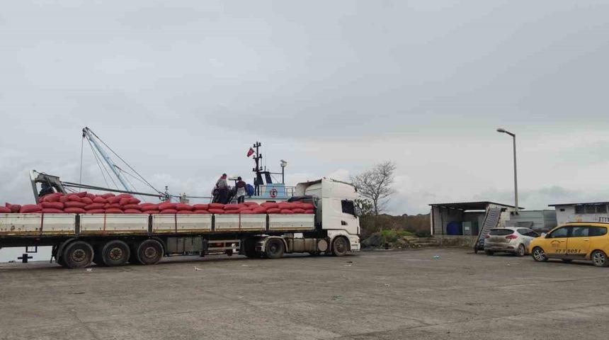 Karadeniz&rsquo;den &ccedil;ıkartılan beyaz kum midyesine sıkı denetim