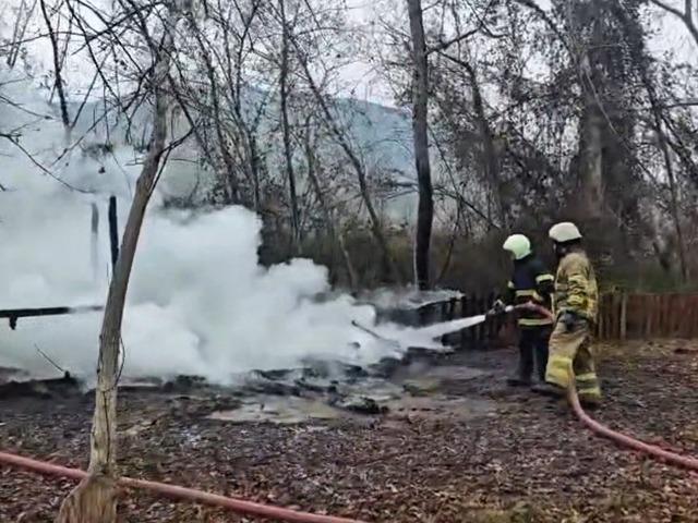 Kamelya yangında k&uuml;le d&ouml;nd&uuml;