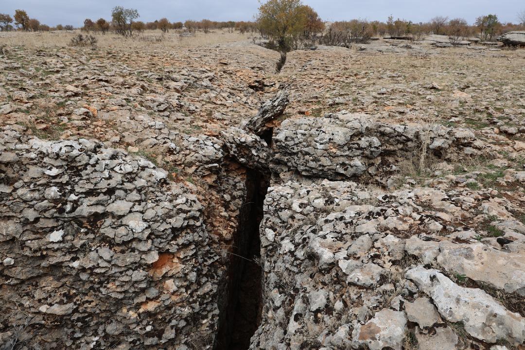 Diyarbakır da bulundu: Y&uuml;z milyonlarca yıl &ouml;nceye ait! "Depremler bundan kaynaklanıyor" 4