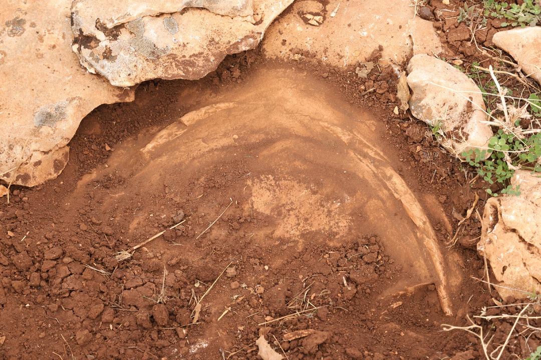 Diyarbakır da bulundu: Y&uuml;z milyonlarca yıl &ouml;nceye ait! "Depremler bundan kaynaklanıyor" 3