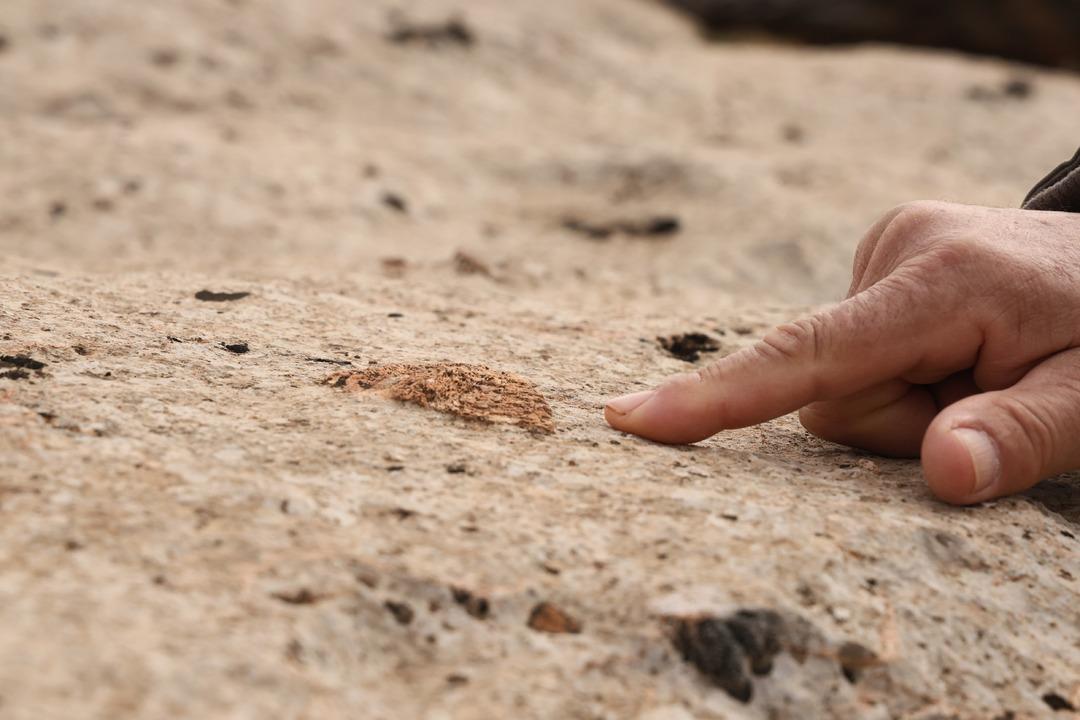 Diyarbakır da bulundu: Y&uuml;z milyonlarca yıl &ouml;nceye ait! "Depremler bundan kaynaklanıyor" 2