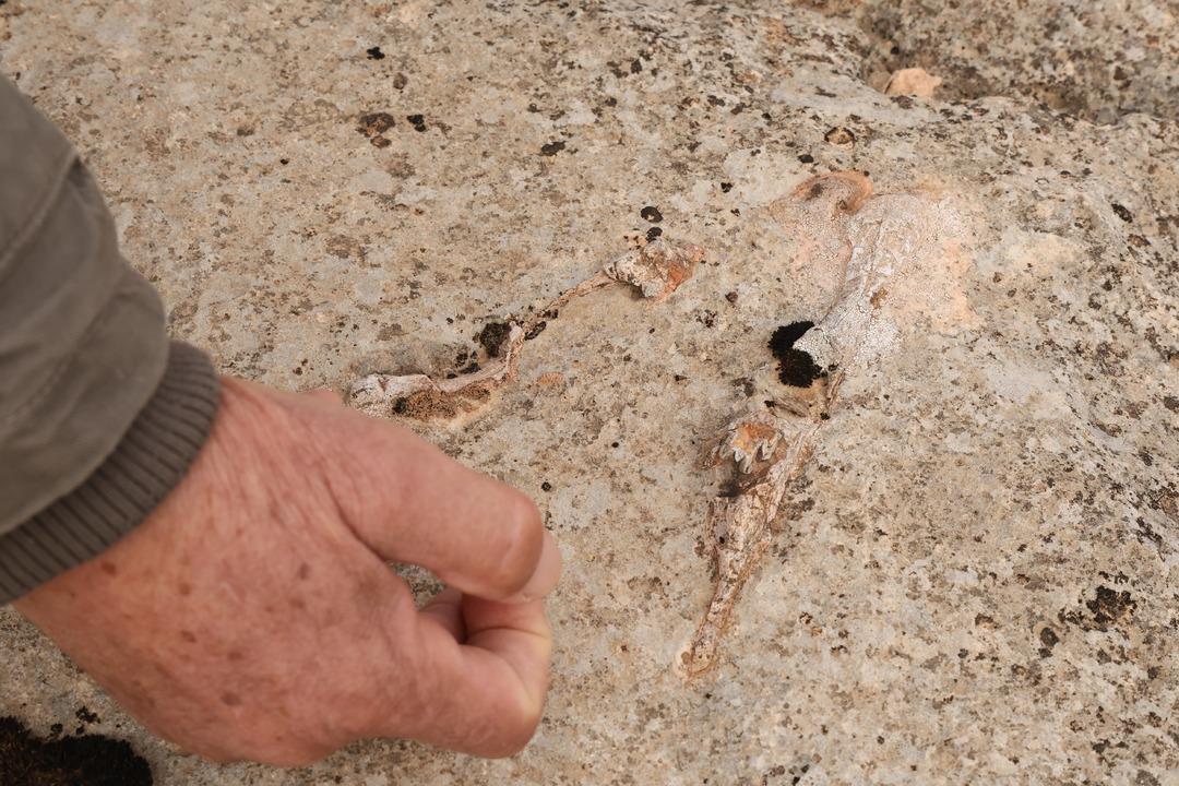 Diyarbakır da bulundu: Y&uuml;z milyonlarca yıl &ouml;nceye ait! "Depremler bundan kaynaklanıyor" 1