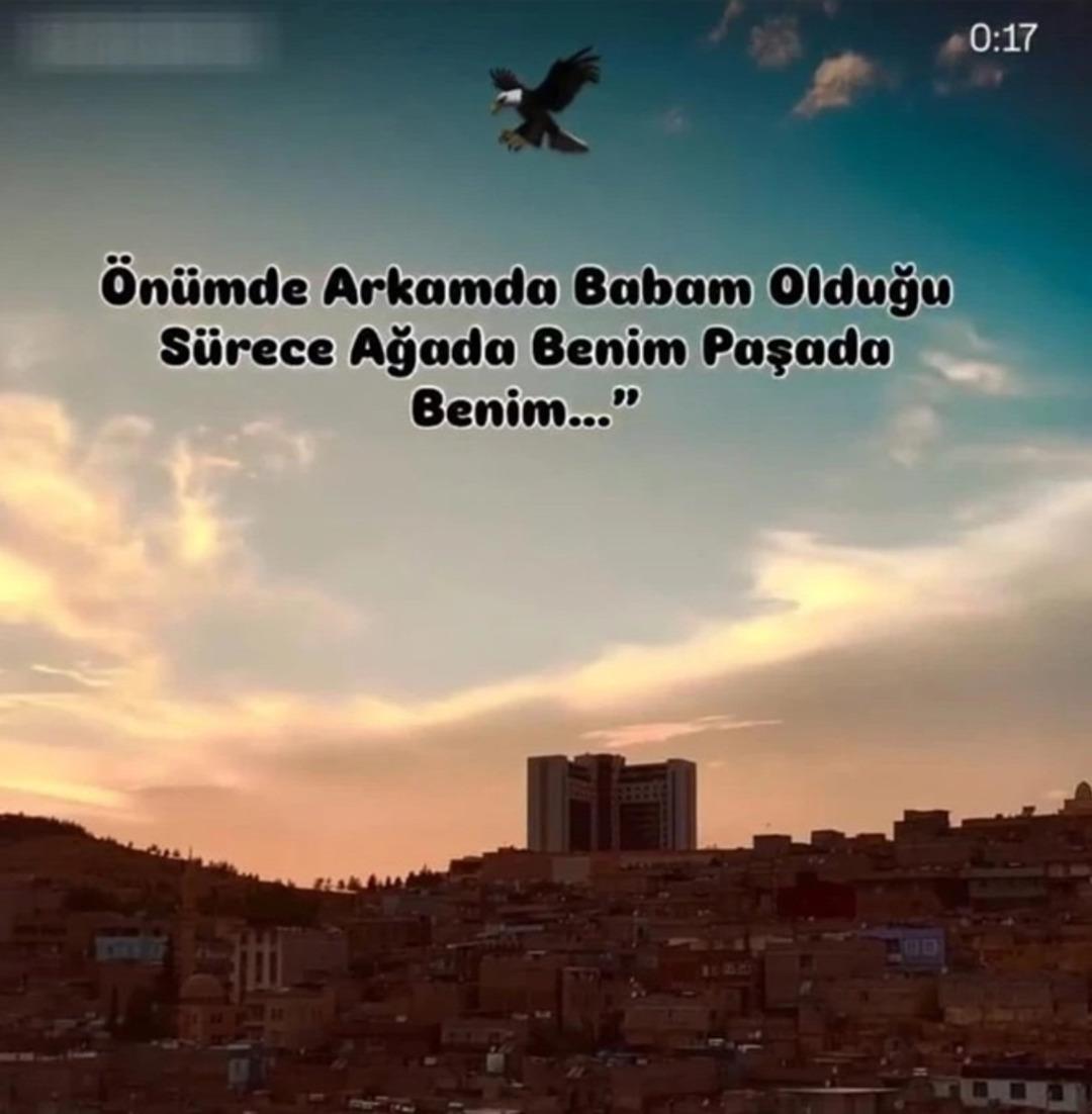 Mersin de öğrenci, okul müdürünü tüfekle vurmuştu! İnfial yaratan olayda yeni detay: 